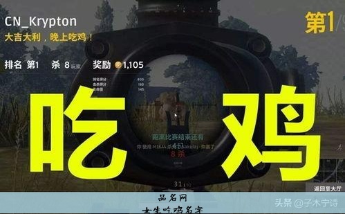 女生吃鸡名字