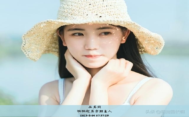 狗狗起名字旺主人
