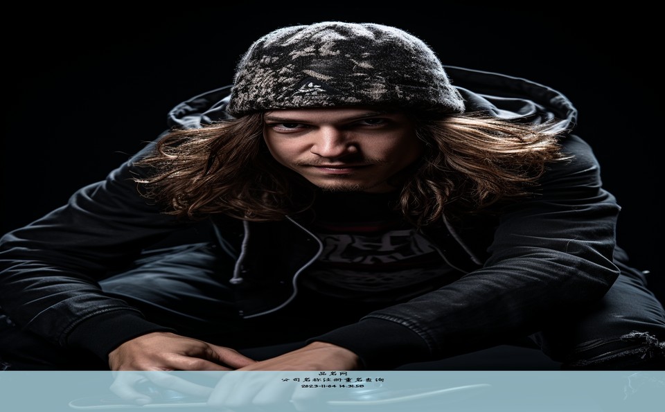 公司名称注册重名查询