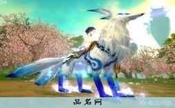 小说角色取名