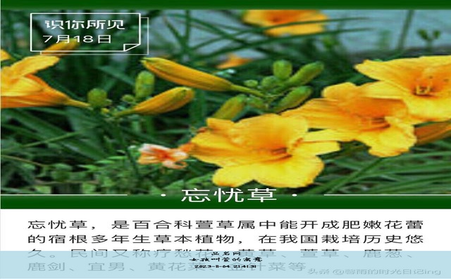 女孩萱字取名最佳配字