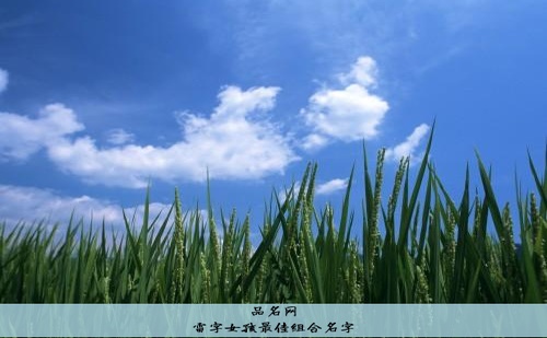 雷字女孩最佳组合名字