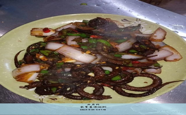 家常菜谱500例