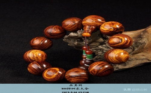 1000种树木大全