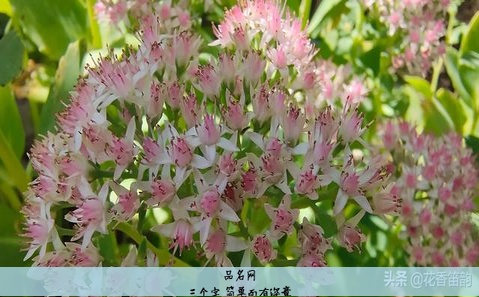 三个字 简单而有深意