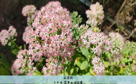 三个字 简单而有深意