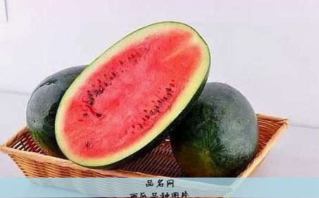 西瓜品种图片