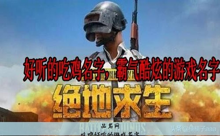 吃鸡好听的游戏名字