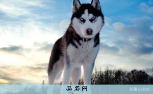 给照片加标题
