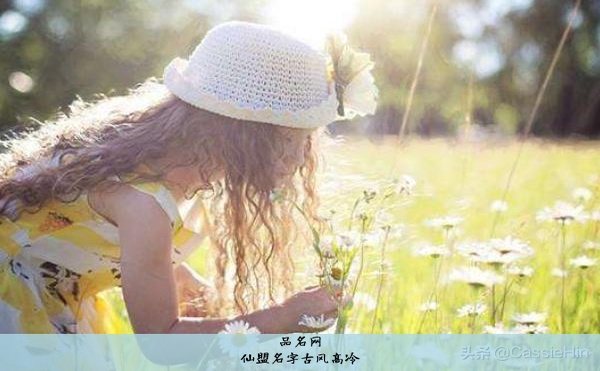 独孤的名字