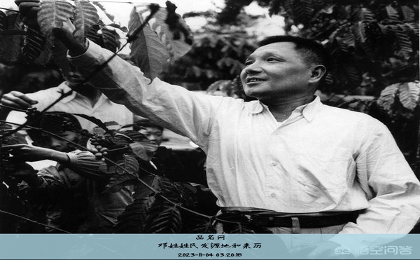 邓姓姓氏发源地和来历