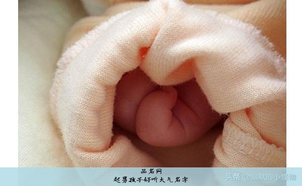 起男孩子好听大气名字