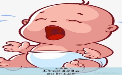 姓李的男孩名字大全