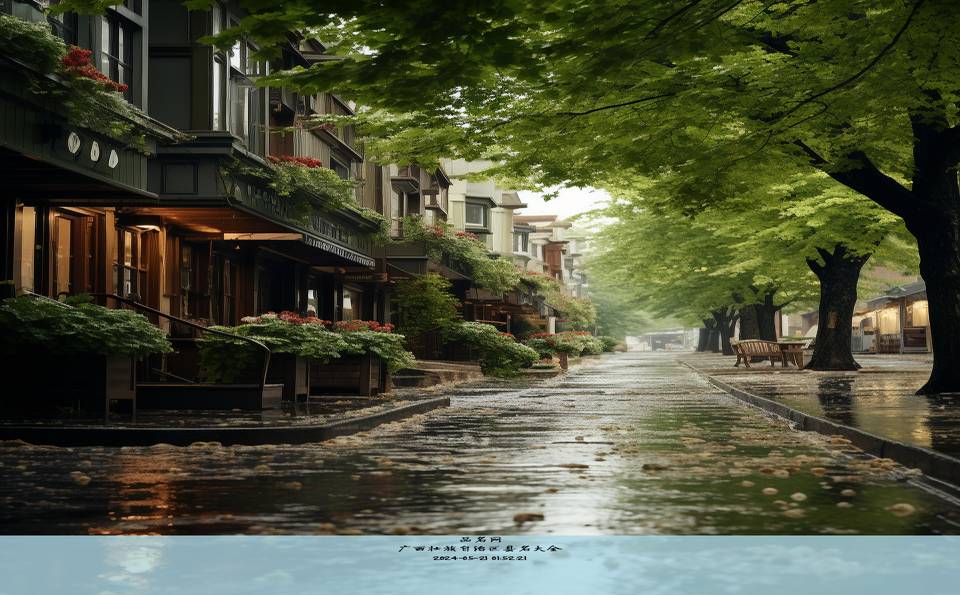 广西壮族自治区县名大全