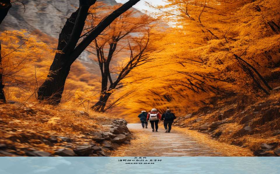 海鲜档口取什么名字好