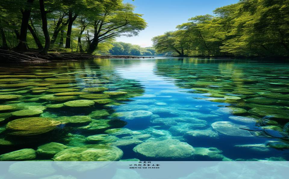 公司起名测试吉凶