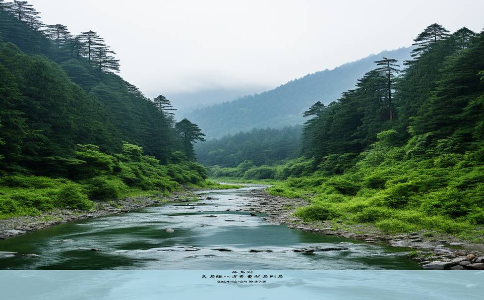 美名腾八字免费起名测名
