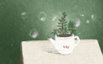 节气饮食 霜降适合吃什么