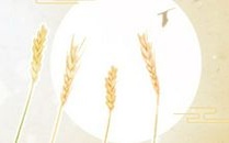 属羊过年相亲是一种什么样的体验