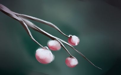 2021节的起源和故事的故事包括哪个？ 1