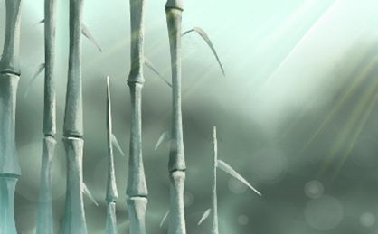 我怎么知道五条生活中的哪些方面？