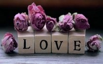 对爱情你是宁缺毋滥的人吗