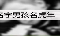 洋气的名字男孩名虎年