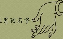 从谷李到孙张：涵盖各种精选宝宝名字的完整列表