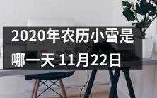 详解2020年小雪日期：是否已来临？若已至，何时开始？可以期待哪些变化？