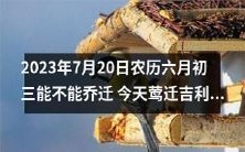 2023年7月20日农历六月初三，是不是一个适宜的日期来进行乔迁活动？可能与今天的莺迁吉利有关吗？