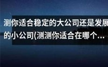 通过测试，了解你适合加入稳定的大公司还是潜力无限的小公司，以及你适合在哪个国家工作！