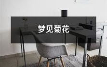 在一个秋日的晚梦中，我看到了一片迷人的金色菊花海景的梦境