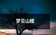 栩栩如生的梦境：我在柔和的阳光下游走，来到一片山脉，沿途绽放着艳丽的花朵，突然，一丛红色的山楂树出现在我面前，散发出对我浓郁的香气，此时，我意识到，我梦见了山楂！