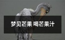 做梦中的情景：我梦见自己喝着口感丰富、饱满甘甜的芒果汁，感受到清新的果香，仿佛能够感受到芒果在口腔中融化的感觉