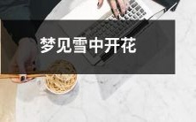 在冬日雪景中梦见花儿绽放：梦中异世界的奇谈