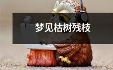 在梦中看到枝叶凋零、枯树断枝的景象