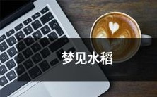 在梦境中看到美轮美奂的稻田，金黄的颗粒闪闪发光，让人心生向往，仿佛意味着美好的收获与繁荣富裕