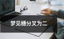 梦见自己的加密货币穗经历了分叉，分裂成了两个不同的区块链网络的梦境