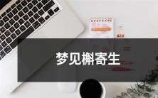 在梦中目睹槲寄生，让我们来一起探讨这个神秘的植物及其象征意义