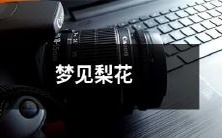 盛开的夜晚，我梦见了梨花树林，数不清的花瓣随着风飘落，闻着清甜的花香，一种奇妙而且美好的感觉萦绕在我心间