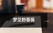 在夜晚的梦境中闪现出绽放的野蔷薇，散发着迷人的香气