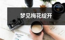 在梦中眼见梅花含苞待放，幻想中美丽的盛景难忘——更多的可能性和美妙情感在慢慢绽放中展现开来