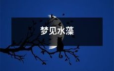 无意间梦见细碎的水草纷纷飘动，仿佛置身水中的美梦世界