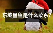 探寻东坡墨鱼的菜系背景：它属于哪种传统烹饪风格？