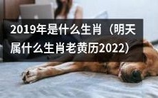 明天老黄历2022，你知道自己属于哪个生肖吗？2021年度十二生肖分析与展望！