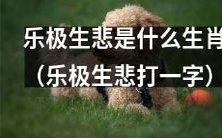 哪个生肖被称作“乐极生悲”的悲剧角色？