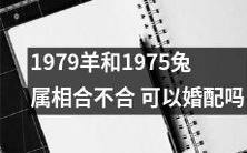 1979年出生的羊和1975年出生的兔，是否符合属相匹配要求？他们是否适合结为终身伴侣？