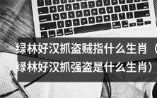 究竟是哪个生肖的绿林好汉在抓捕盗贼？