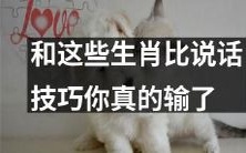 为什么你输给了这些生肖的沟通技巧：如何提升你的说话能力