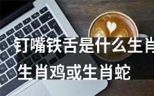 请问“钉嘴铁舌”是属于哪个生肖，是生肖鸡还是生肖蛇？